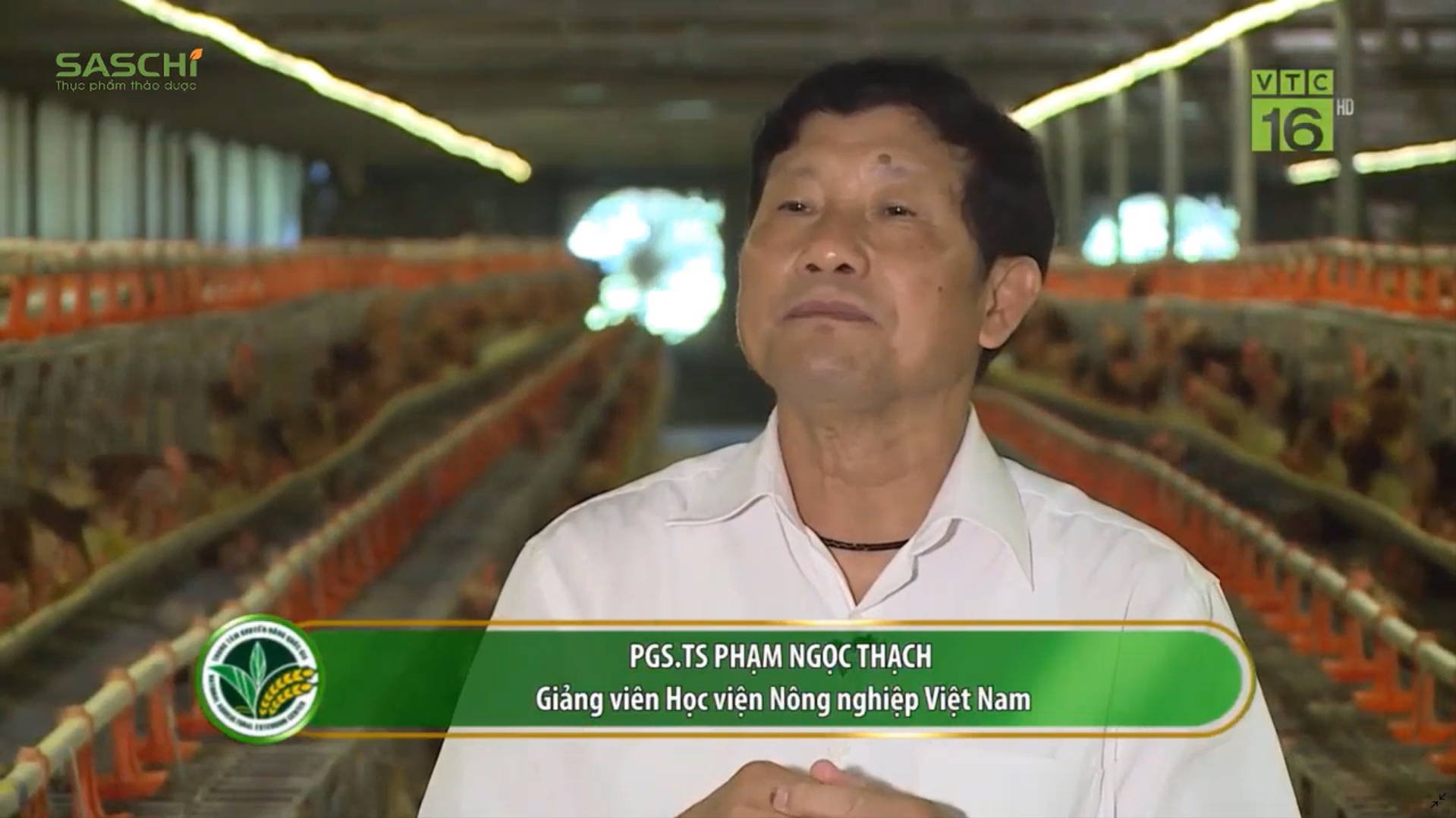 Theo chân PGS.TS Phạm Ngọc Thạch tìm hiểu Quy trình sản xuất Trứng gà thảo dược tại trang trại Saschi