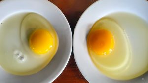 Mẹo phân biệt trứng gà ta và trứng gà công nghiệp tẩy trắng cực dễ